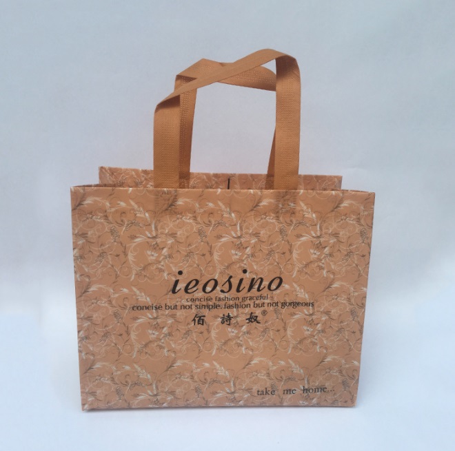 3D Printing Non Woven Fabric Shopping Bag